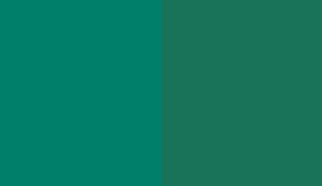 HEX #00806B to RAL 6016