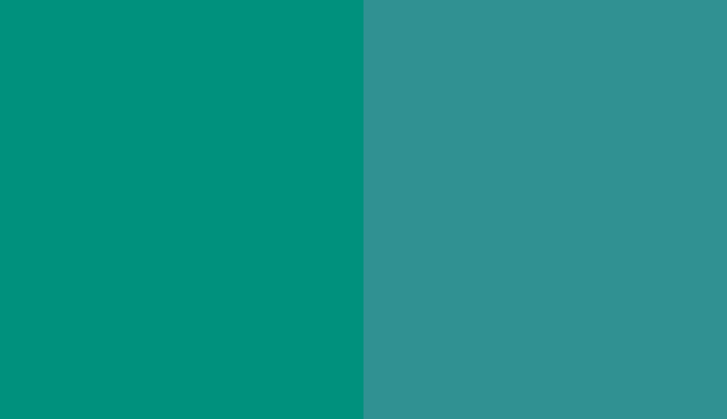 HEX #00917D to RAL 5018