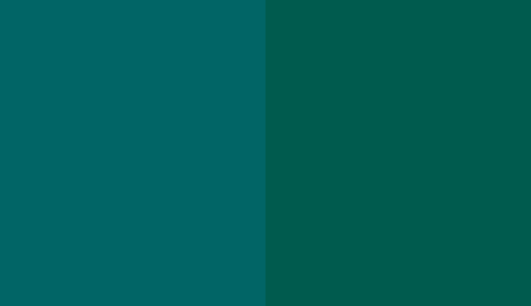 HEX #016566 to RAL 6036