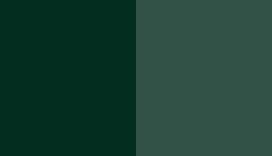 HEX #022F1D to RAL 6005