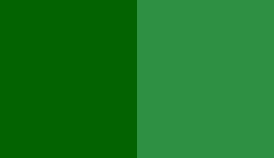 HEX #026401 to RAL 6037
