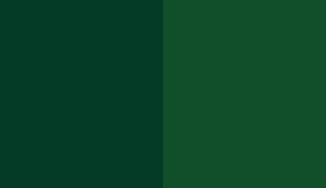 HEX #033B27 to RAL 6035