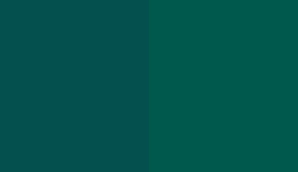 HEX #034F4E to RAL 6036