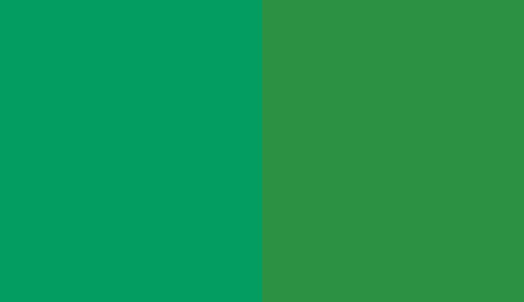 HEX #039E5F to RAL 6037