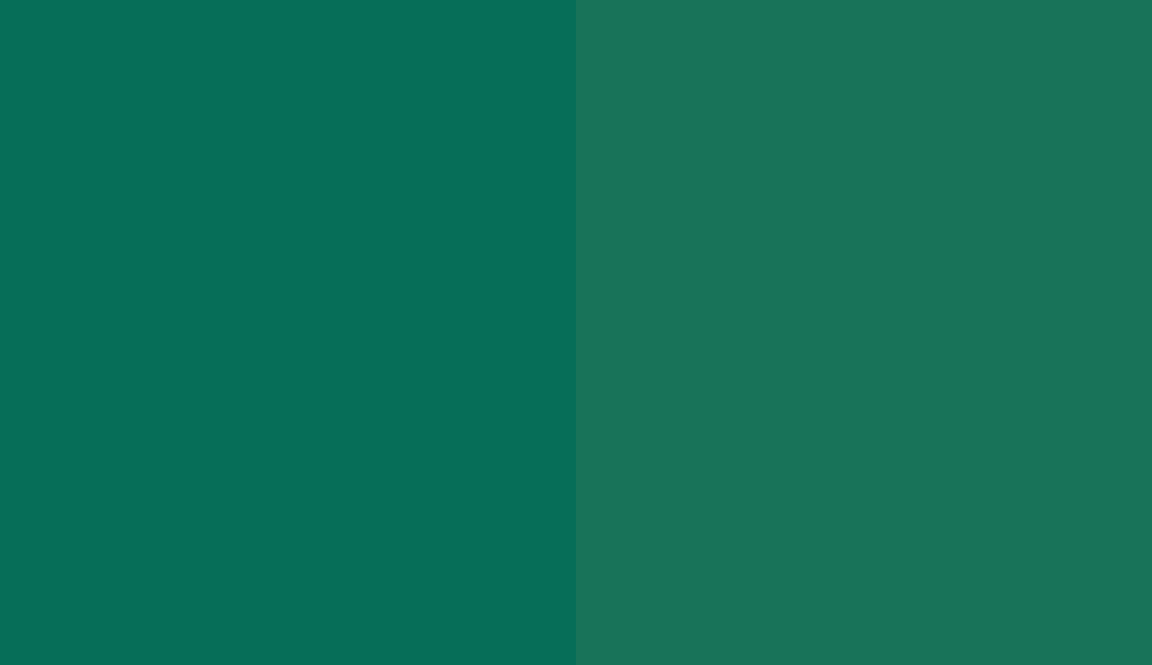 HEX #066E58 to RAL 6016 HEX #066E58 to RAL 6016