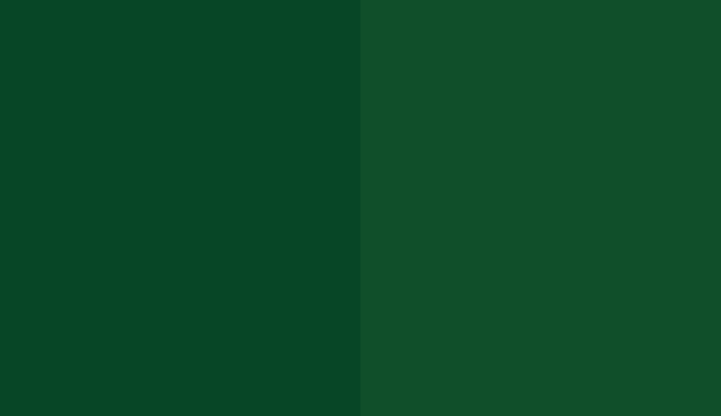 HEX #074626 to RAL 6035