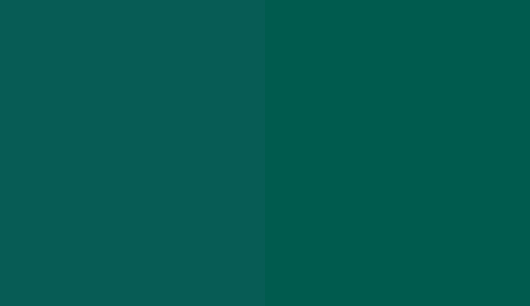 HEX #075C55 to RAL 6036