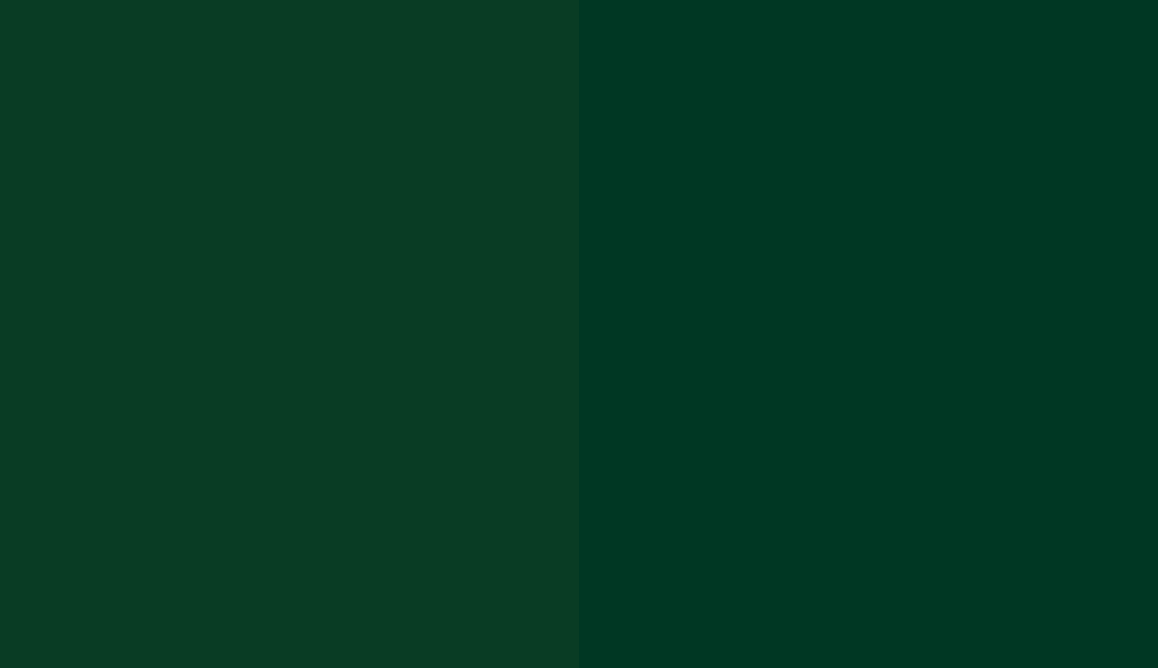 HEX #093C24 to RAL 170 20 25 HEX #093C24 to RAL 170 20 25