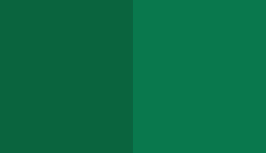 HEX #0A653F to RAL 6029 HEX #0A653F to RAL 6029
