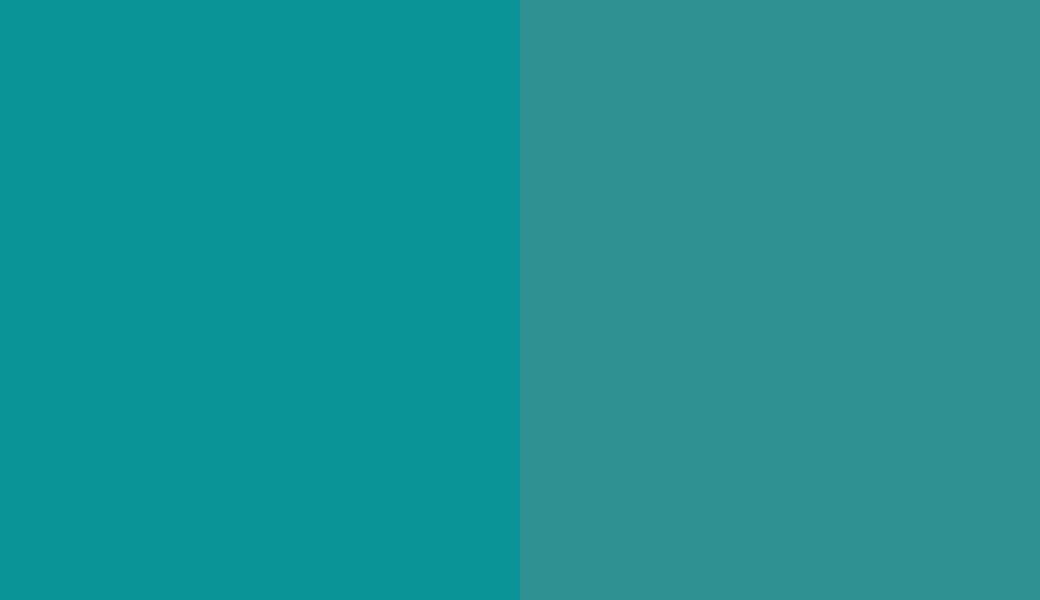 HEX #0A9497 to RAL 5018