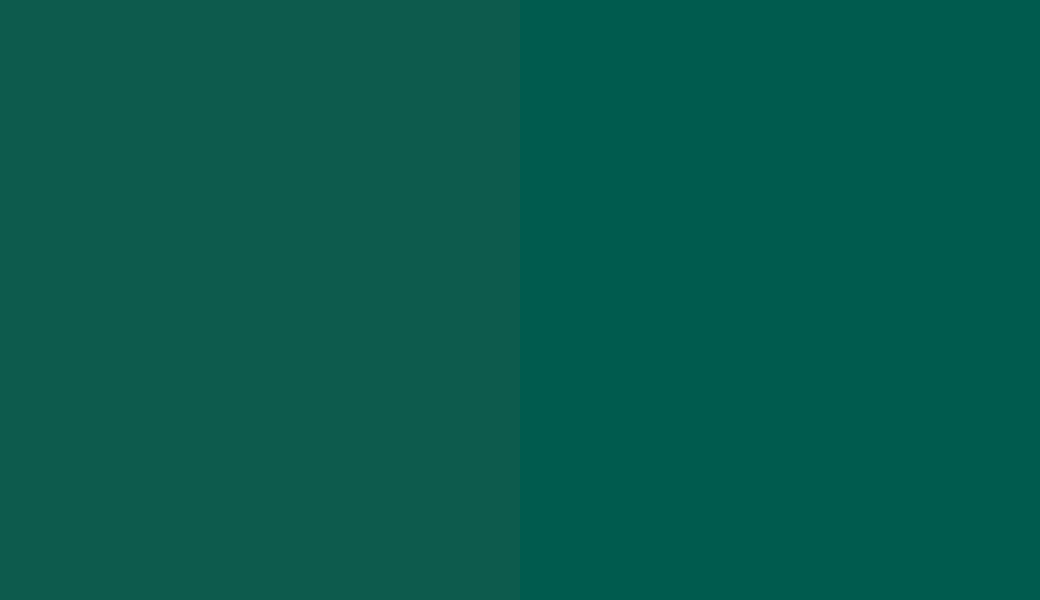 HEX #0D5B4D to RAL 6036