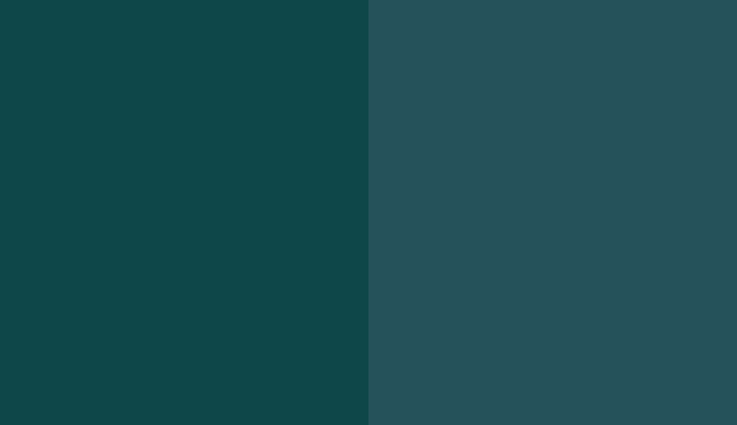 HEX #0E4749 to RAL 5020