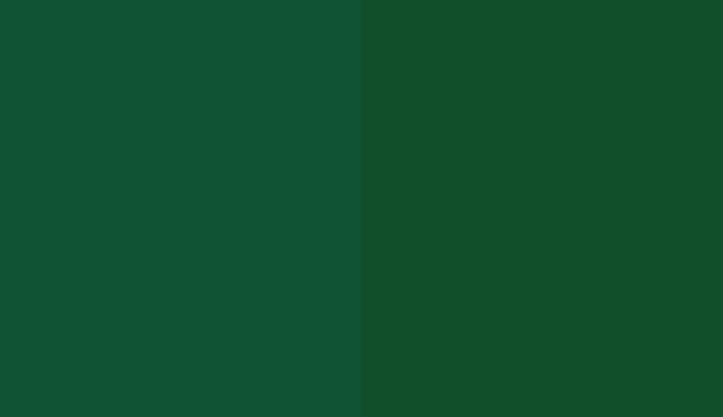 HEX #105334 to RAL 6035