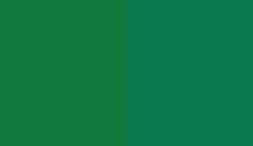 HEX #10783B to RAL 6029