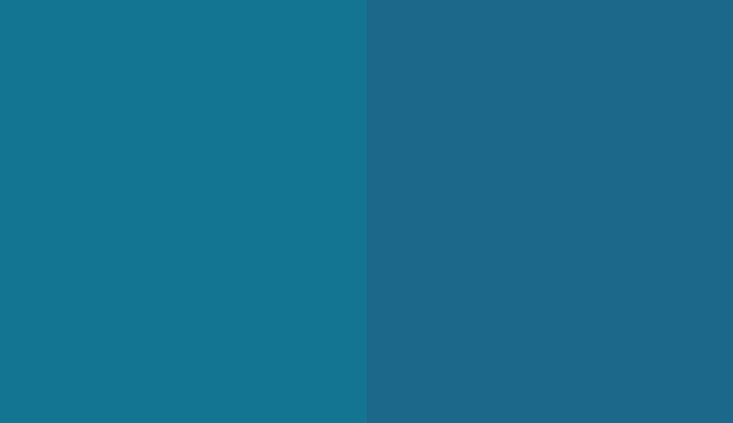 HEX #147592 to RAL 5019