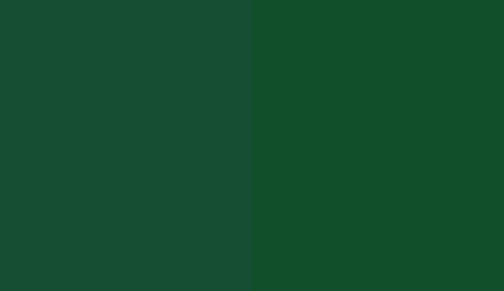 HEX #164E34 to RAL 6035