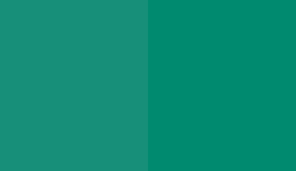 HEX #178F79 to RAL 180 50 50 HEX #178F79 to RAL 180 50 50