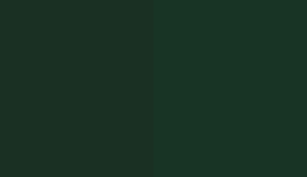 HEX #1A3023 to RAL 160 20 15