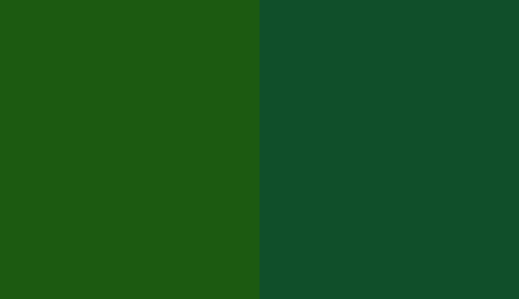 HEX #1C5A11 to RAL 6035 HEX #1C5A11 to RAL 6035
