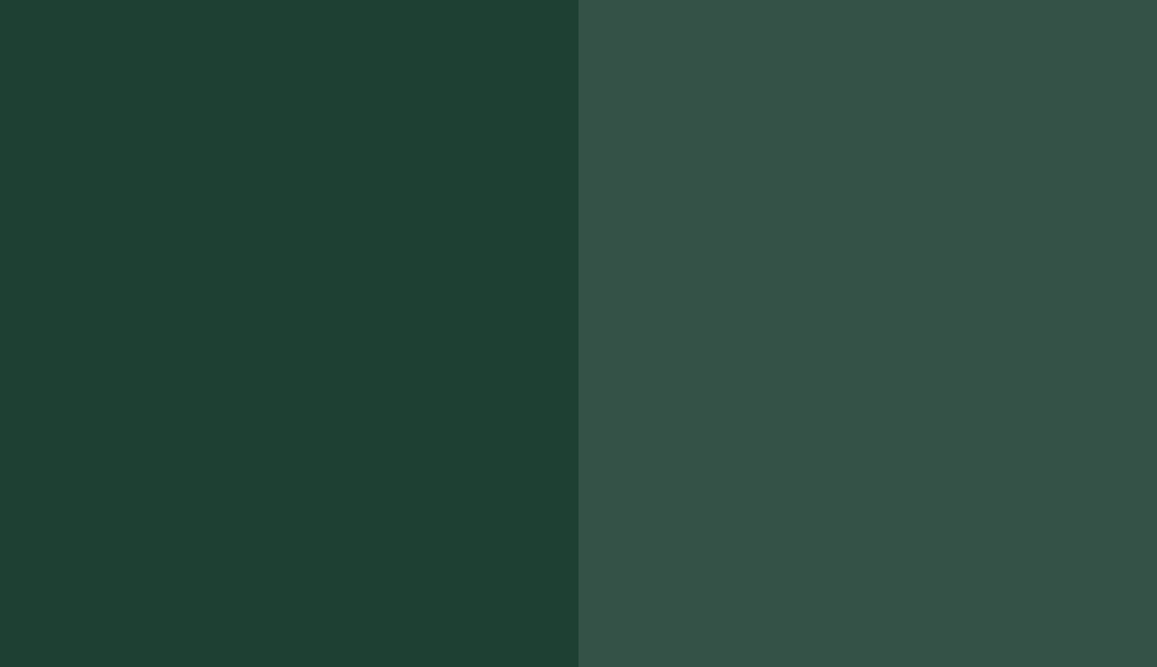 HEX #1E4033 to RAL 6005
