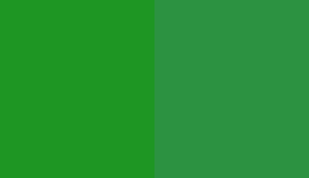 HEX #1E9623 to RAL 6037