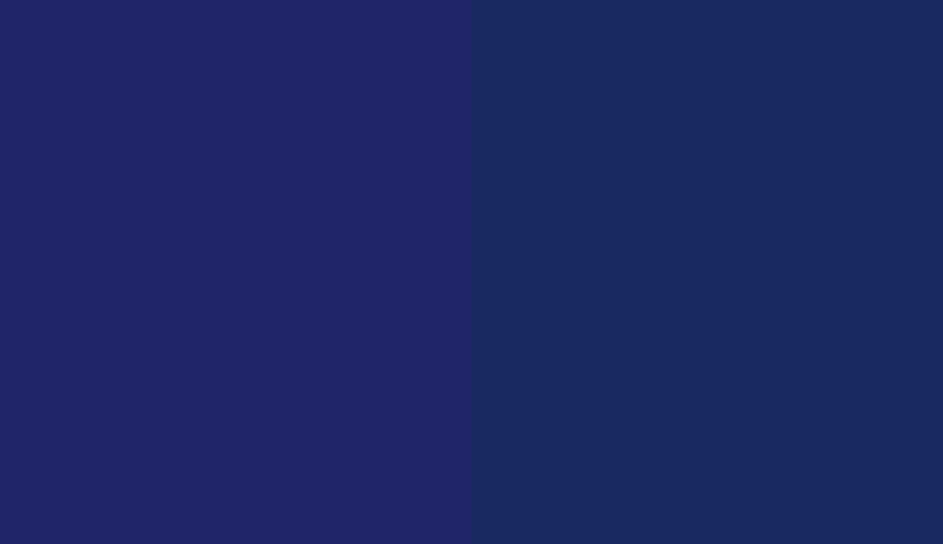 HEX #202569 to RAL 290 20 35