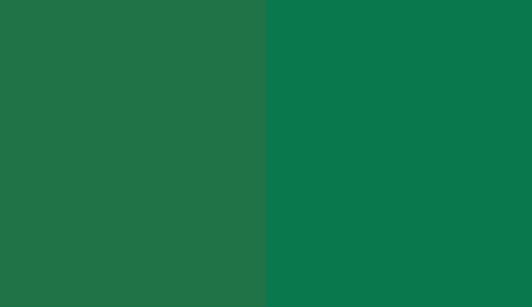 HEX #207346 to RAL 6029