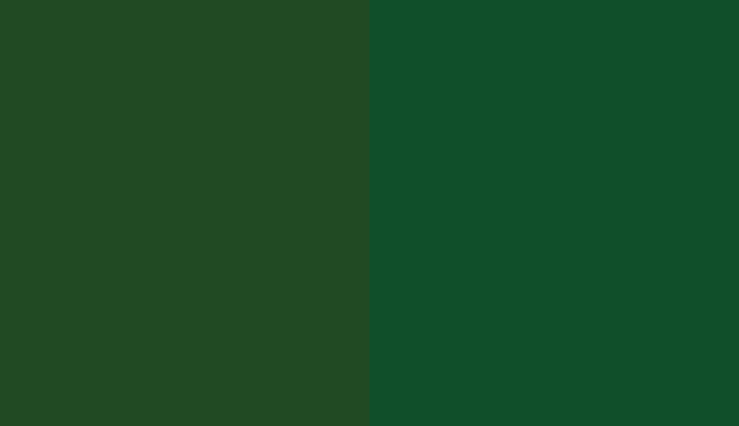 HEX #214A23 to RAL 6035