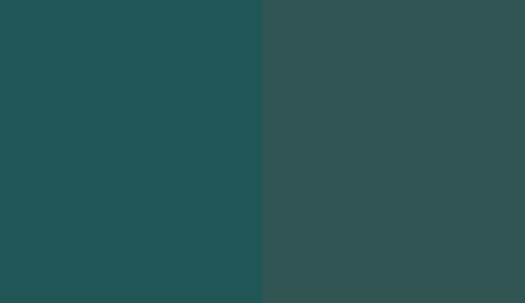 HEX #215657 to RAL 6004