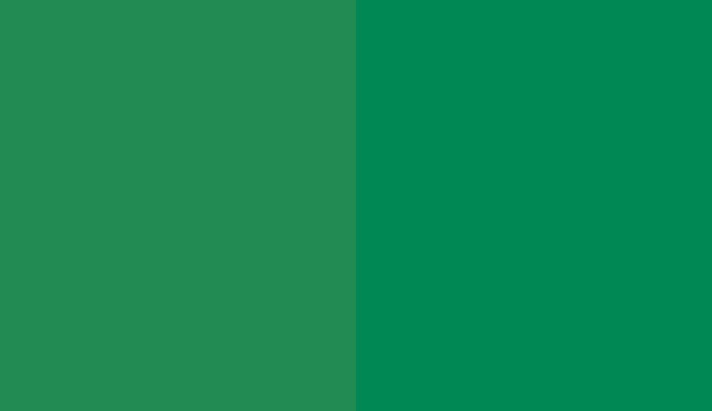 HEX #228A53 to RAL 160 50 50