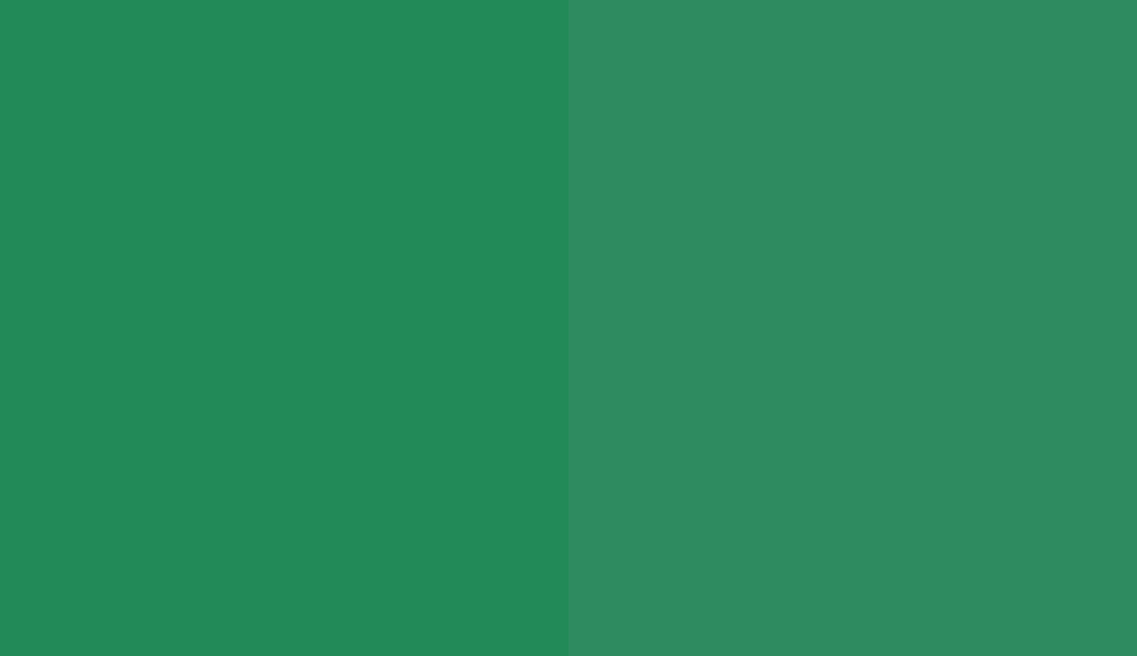 HEX #228A58 to RAL 6024 HEX #228A58 to RAL 6024