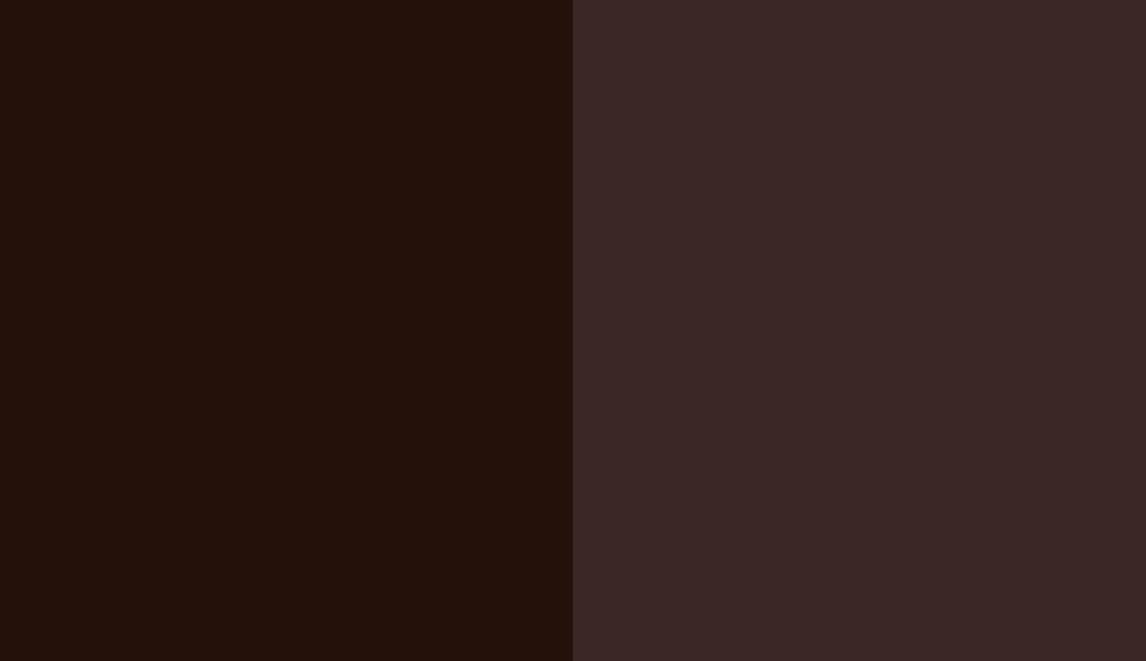 HEX #24120A to RAL 020 20 10 HEX #24120A to RAL 020 20 10