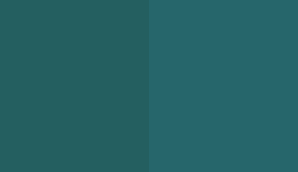 HEX #245F60 to RAL 210 40 20