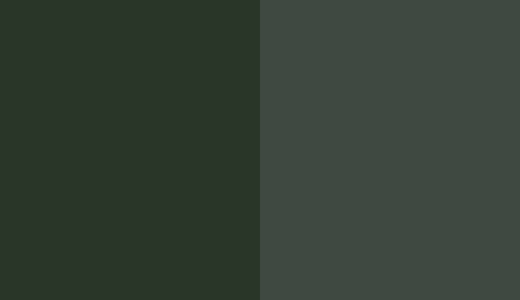 HEX #293628 to RAL 6009