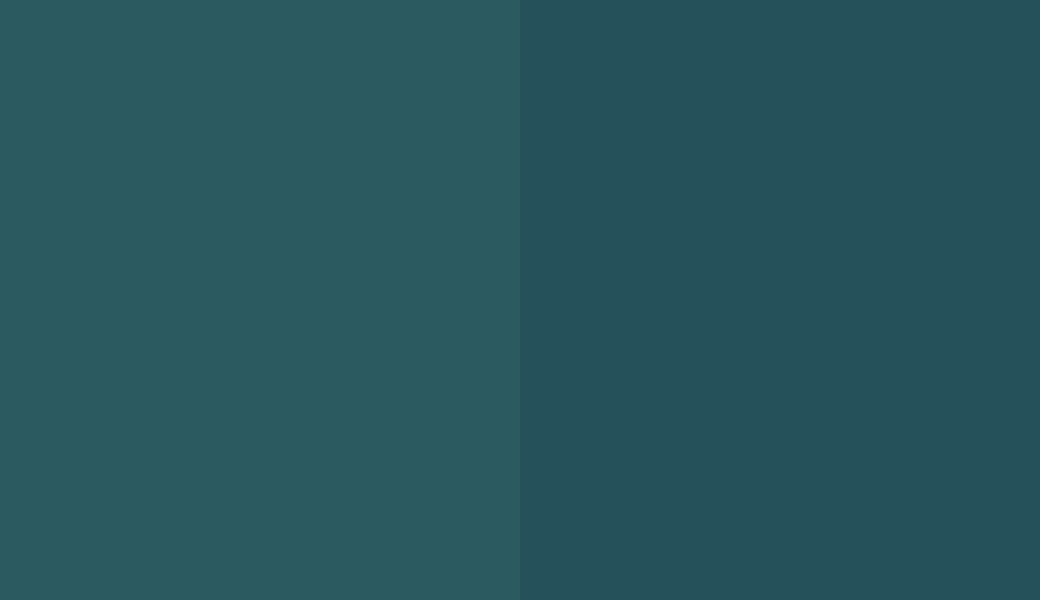 HEX #2C5A61 to RAL 5020