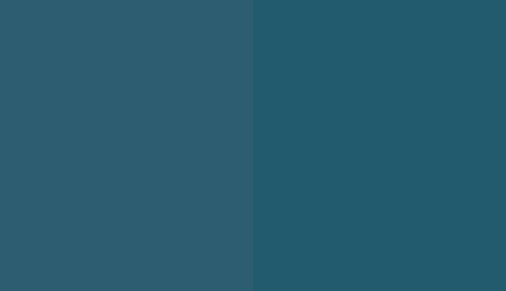 HEX #2C5D70 to RAL 5025
