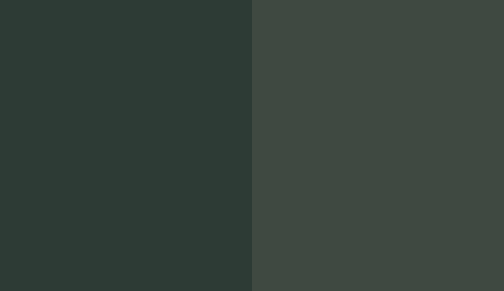 HEX #2D3B35 to RAL 6009 HEX #2D3B35 to RAL 6009