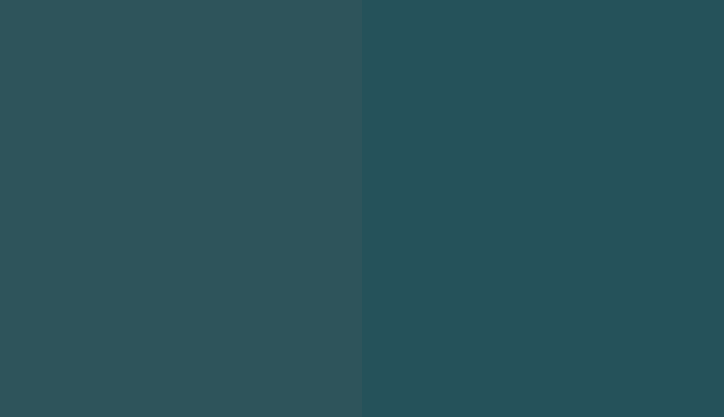 HEX #2E545B to RAL 5020 HEX #2E545B to RAL 5020