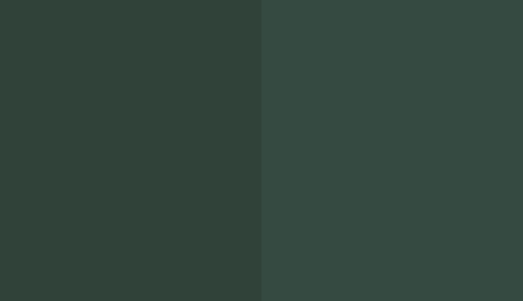 HEX #304239 to RAL 170 30 10