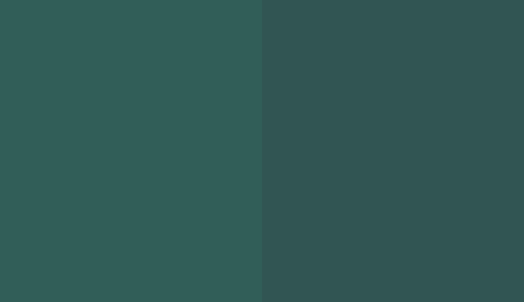 HEX #315E58 to RAL 6004