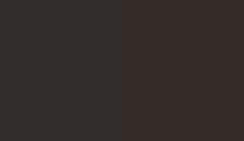 HEX #322D2C to RAL 040 20 05 HEX #322D2C to RAL 040 20 05