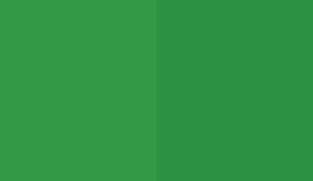 HEX #339947 to RAL 6037