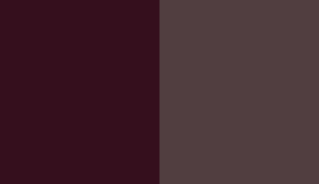 HEX #350F1D to RAL 3007 HEX #350F1D to RAL 3007