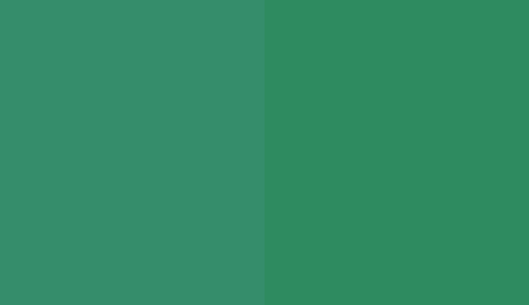 HEX #358D6B to RAL 6024 HEX #358D6B to RAL 6024