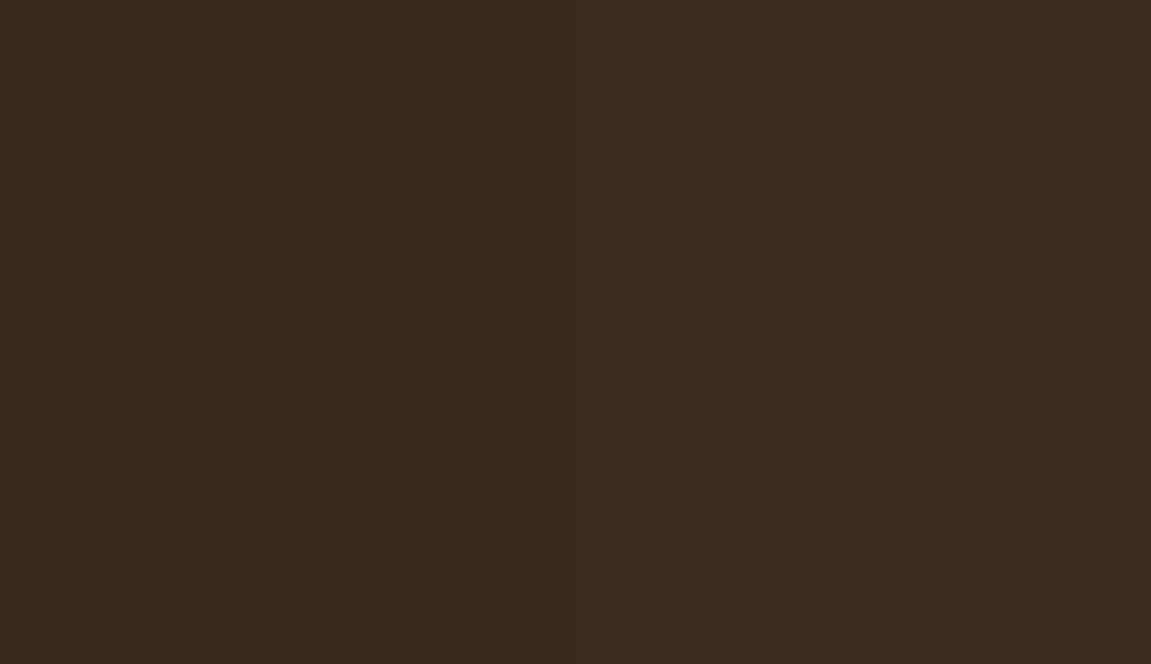 HEX #37291E to RAL 070 20 10