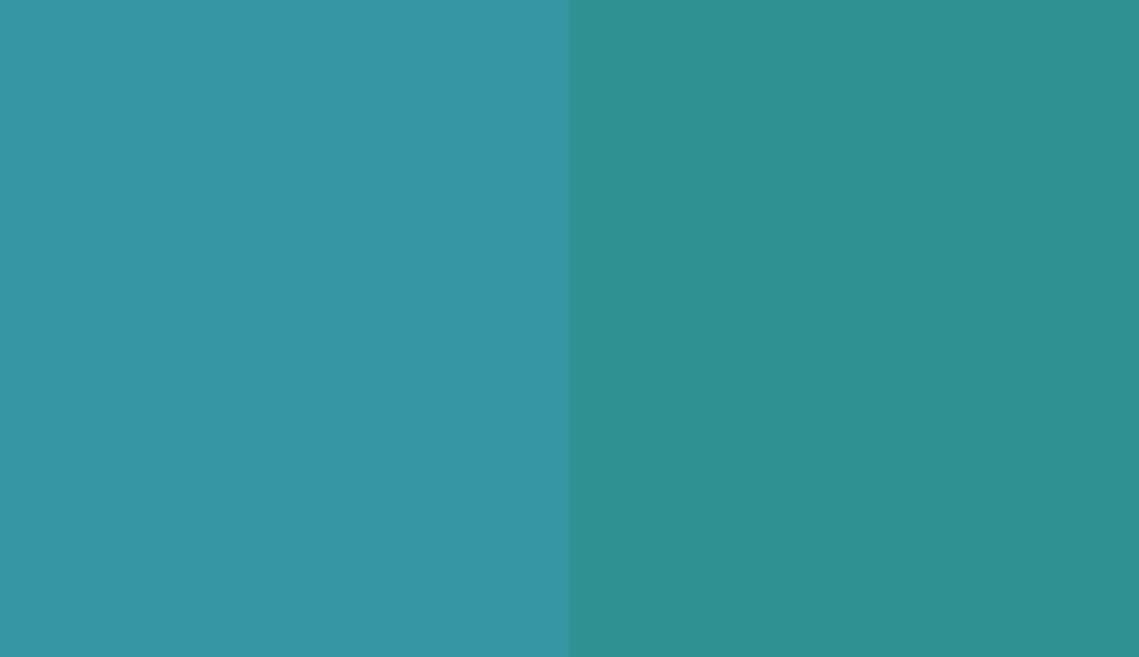 HEX #3795A1 to RAL 5018 HEX #3795A1 to RAL 5018