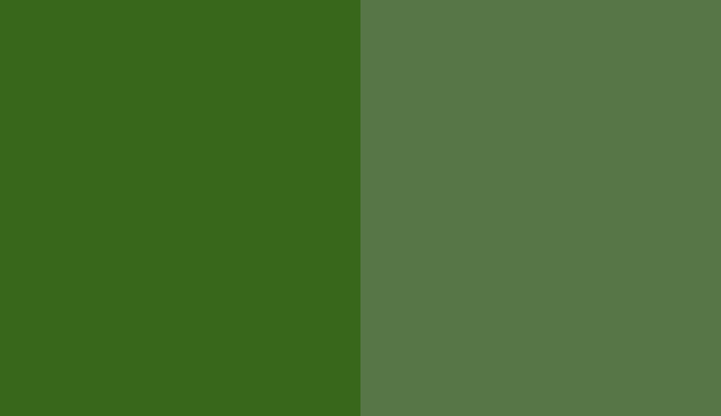 HEX #38671B to RAL 6010