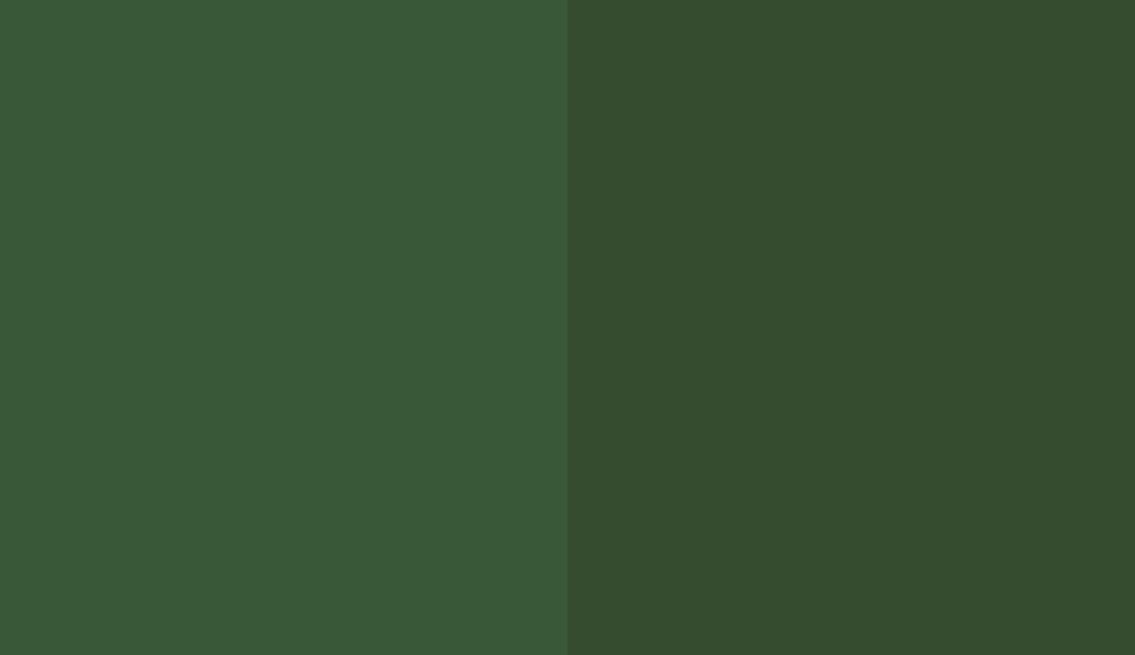 HEX #395838 to RAL 140 30 20