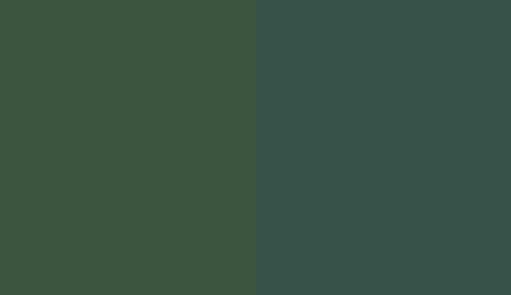 HEX #3A563E to RAL 6005