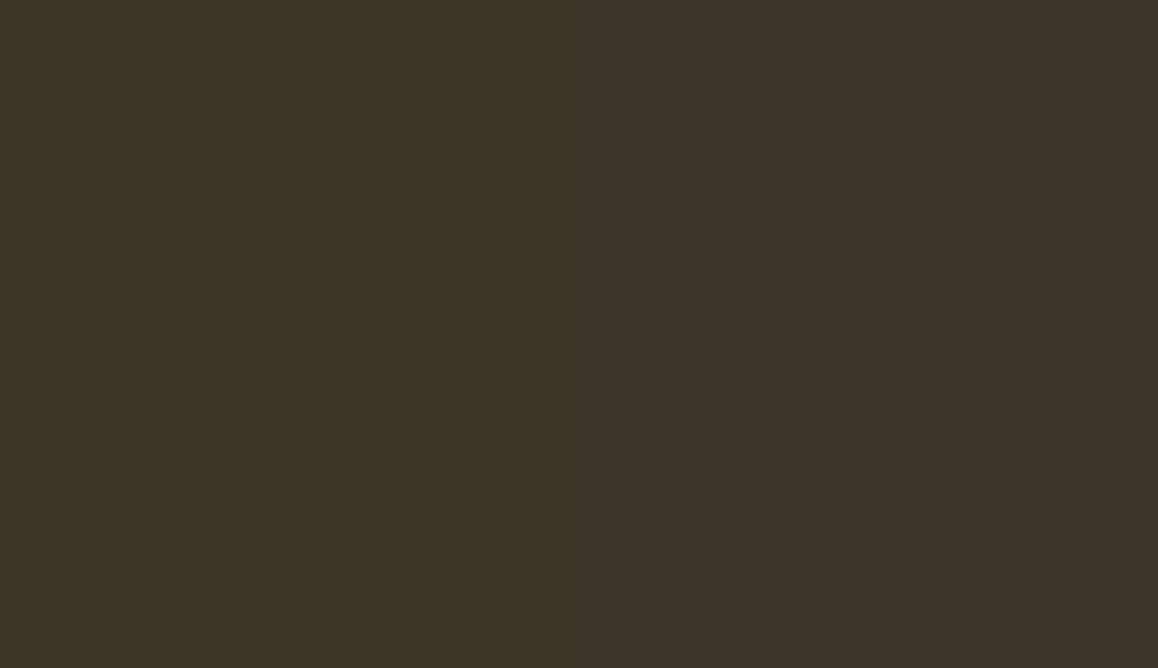 HEX #3B3625 to RAL 085 20 10